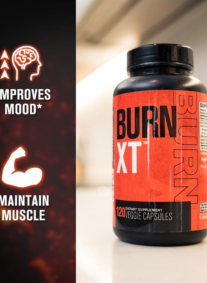 Jacked Factory Burn-XT Body Recomposition for Men & Women - Improve Focus & Increase Energy - Premium Acetyl L-Carnitine, Green Tea Extract, Capsimax Cayenne Pepper, & More - 120 Natural Veggie Pills - Image 2