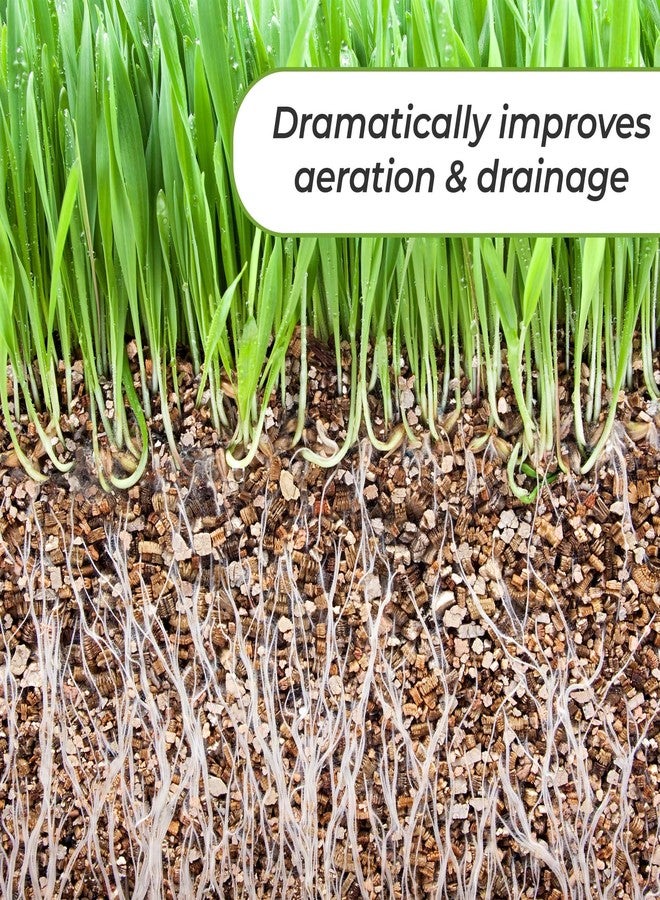 PERFECT PLANTS فيرميكوليت عضوي من بيرفكت بلانتس - 8 كوارت جاف، مضاف طبيعي للتربة للنباتات المزروعة في أصص - Image 4