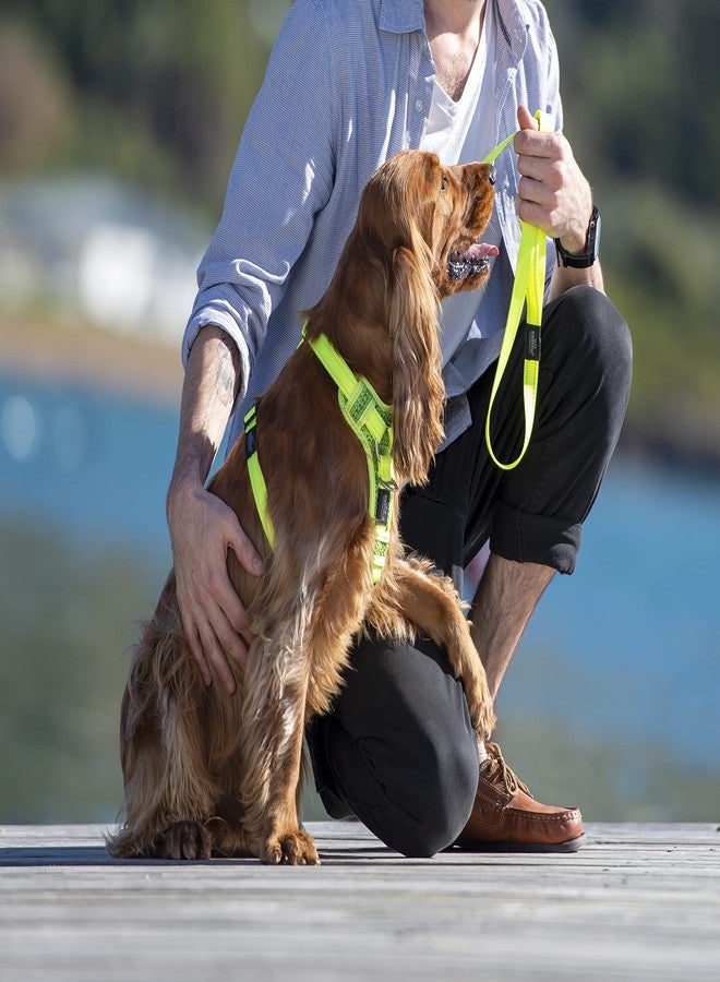 روجز حزام تحكم صغير - أسود - Image 2