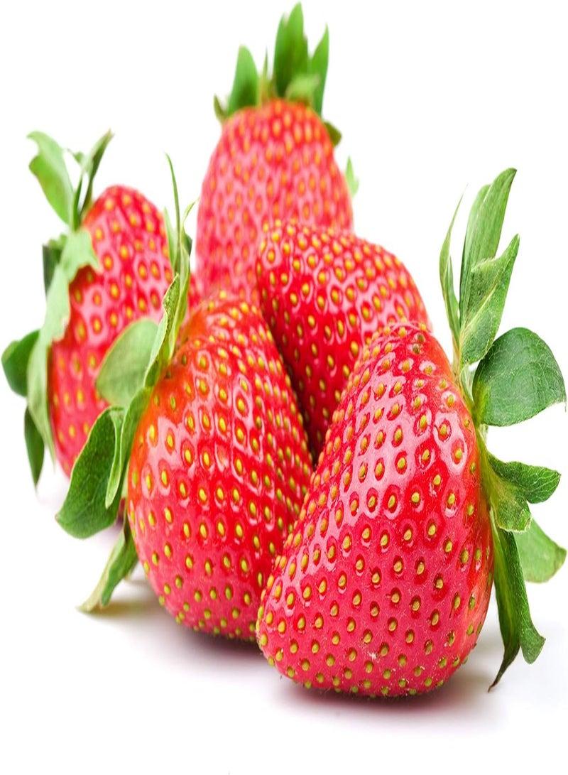 GGOOT 300pcs Strawberry Seeds Fruit Climbing Plants - Image 1