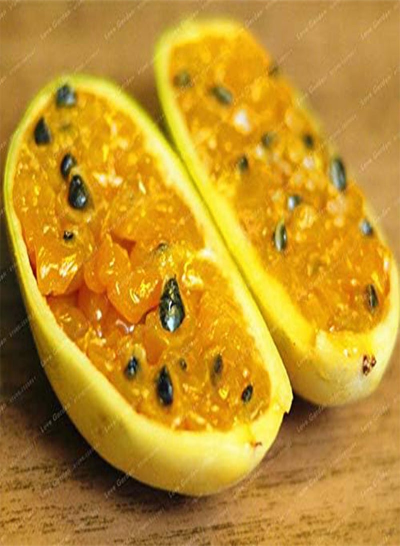 GGOOT Passiflora Banana Passion Fruit Seed Pink Flower Tropical Garden Passiflora Family Garden Indoor Seed Flower Plant 50pcs - (Color: 1) - Image 1