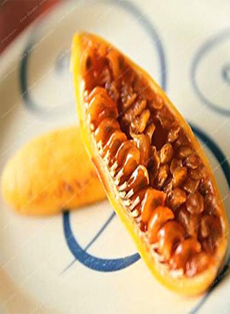 GGOOT Passiflora Banana Passion Fruit Seed Pink Flower Tropical Garden Passiflora Family Garden Indoor Seed Flower Plant 50pcs - (Color: 1) - Image 4