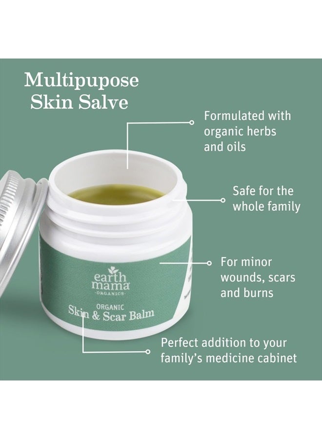 Earth Mama Organic Skin & Scar Balm | Surgical Wound & C-Section Recovery Skin Care, Pregnancy Stretch Mark Scar Treatment with Tamanu Oil & Gotu Kola (2-Pack) - Image 2