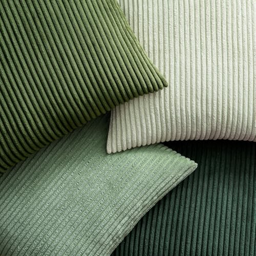 EMEMA Spring Green Decorative Throw Pillow Covers for Couch Bed Livingroom 18x18 Inch Set of 4 Boho Farmhouse Corduroy Striped Square Pillow Case,Western Modern Cushion Covers Home Decor - Image 5
