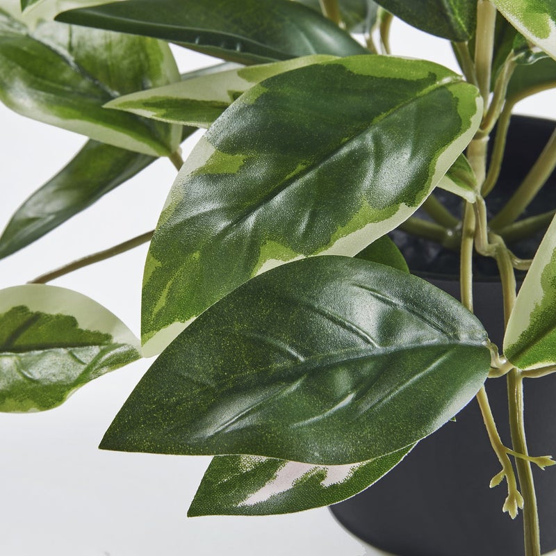FEJKA Artificial Hanging Potted Plant, Green Foliage, 9 cm Pot, Indoor/Outdoor - Image 5