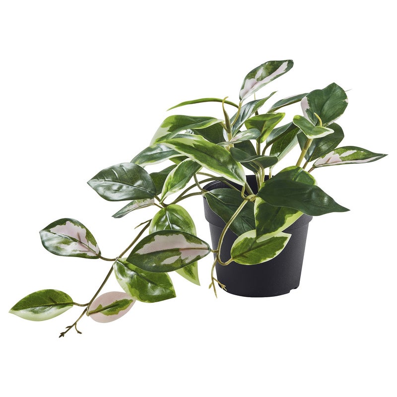 FEJKA Artificial Hanging Potted Plant, Green Foliage, 9 cm Pot, Indoor/Outdoor - Image 1