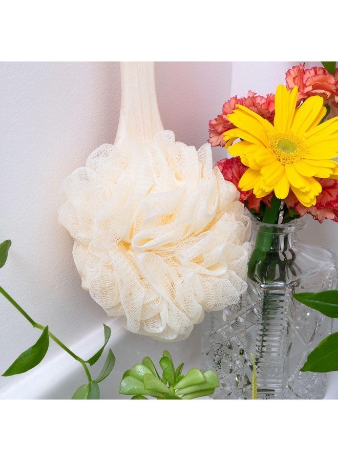 إيكوتولز فرشاة حمام إيكوبوف من إيكو تولز، فرشاة ليفة للاستحمام والدش، مصنوعة بمقبض طويل ومعاد تدويرها، شبكة ناعمة لتقشير لطيف، فرشاة ظهر للرجال والنساء، صديقة للبيئة وخالية من القسوة، عدد 1 - Image 3