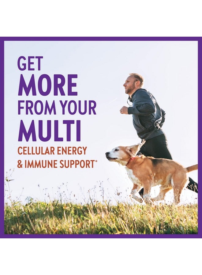 New Chapter حلوى جيلاتينية متعددة الفيتامينات للرجال تحتوي على سكر أقل بنسبة 66%، فيتامينات جيلاتينية للرجال تحتوي على فيتامين سي وفيتامين د3 والزنك، خالية من الجلوتين من نونجمو، 75 قطعة - Image 3