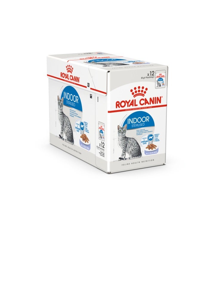 ROYAL CANIN Feline Health Nutrition Indoor Jelly WET FOOD - Pouches - Image 1