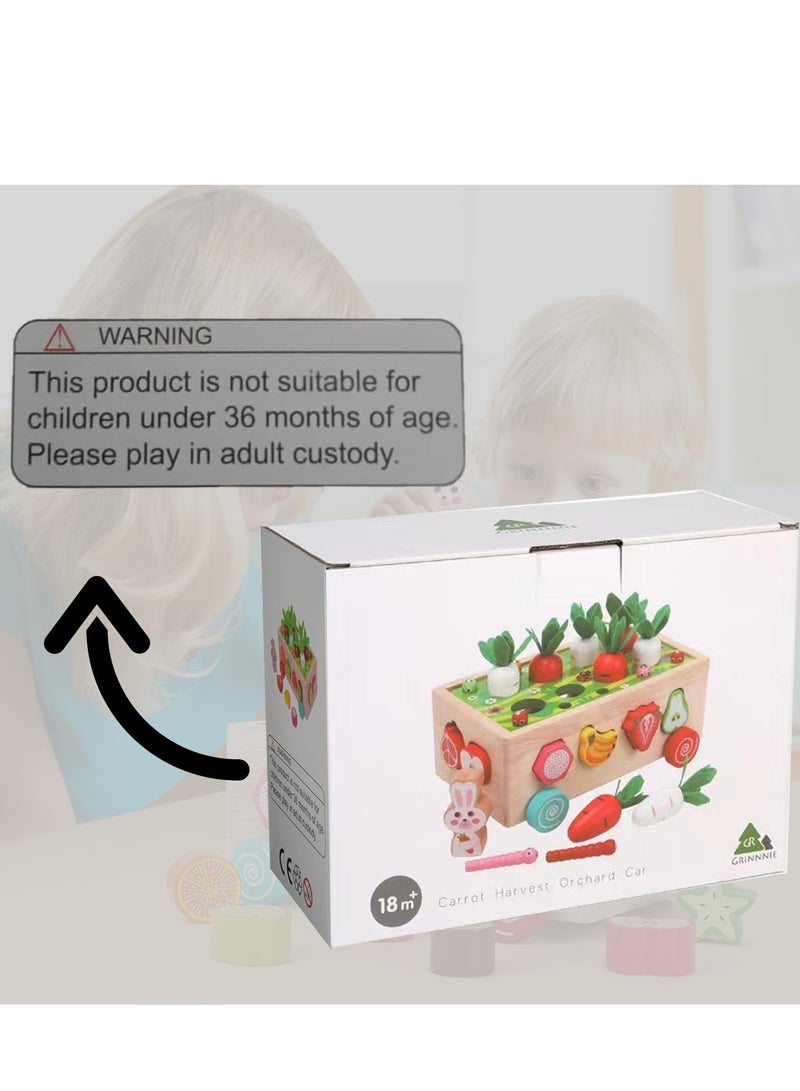 Raxoom Montessori Wooden Educational Toys for Toddlers - Shape Sorter & Carrot Harvest Game for Ages 3+ - Fine Motor Skill Development for Boys & Girls - Ideal Preschool Learning Toy - Image 4