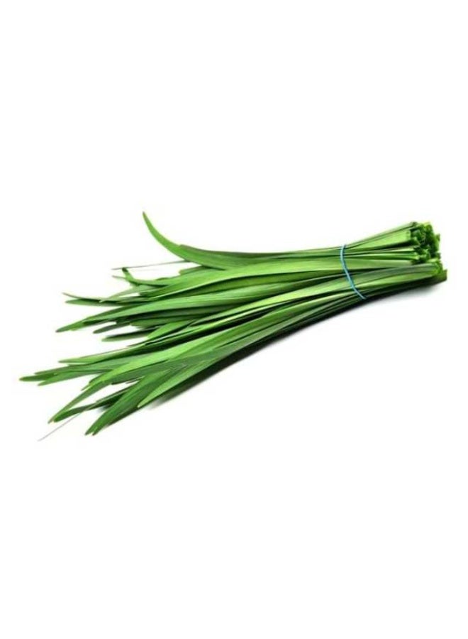 Chinese Chives, 70g to 80g per bunch, UAE