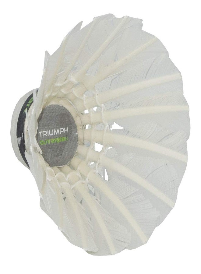 ترايامف مضرب تنس الريشة من تريومف، وكرة تنس الريشة، ومضرب تنس الريشة تريومف أسود اللون قطعة واحدة مع 10 قطع من كرات تنس الريشة تريومف أوتبريك وغطاء كامل للمضرب - Image 4