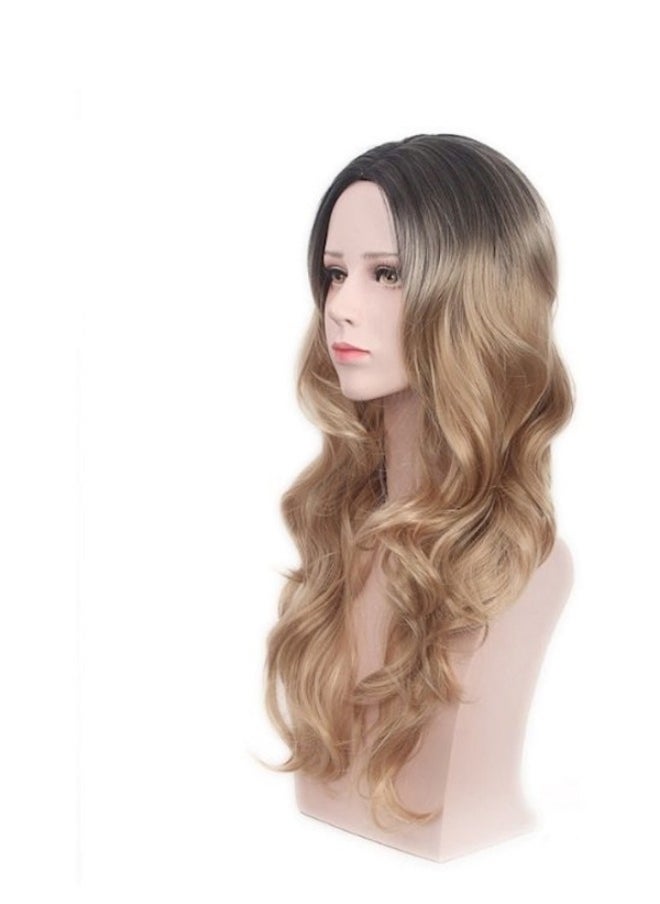 Gradient Hair Wig - pzsku/ZBF3D541F13BB6605746DZ/45/_/1697518203/72df0ea6-c7b3-462a-9e16-461ed3f4d514