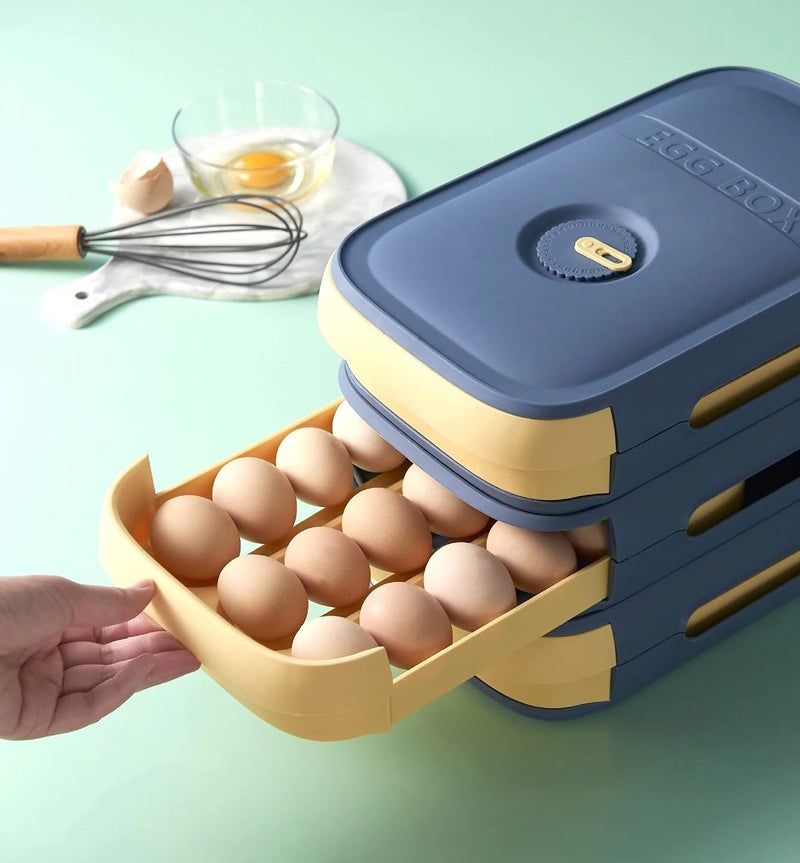 Evona Plastic Rectangular Egg Storage Drawer Organizer Box With Lid BluePack Of 1 - Image 1