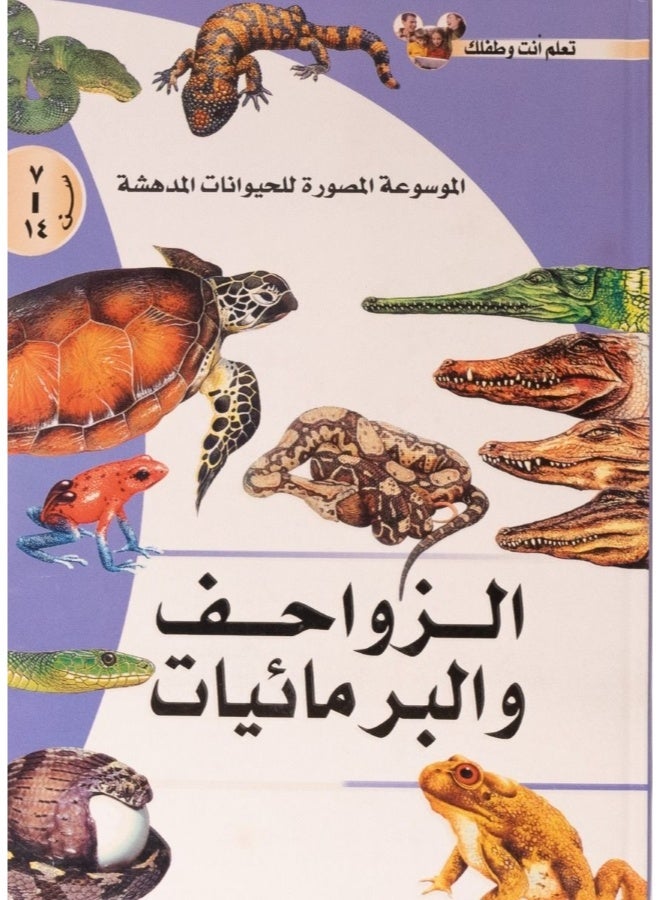 Reptiles and Amphibians