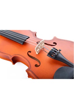 4/4 Violin Set Matte Violin Full Size for Beginner Spruce Wood Fiddle with Violin Hard Case,Violin Rosin,Violin Bows - pzsku/ZBF3F6D8152AA98424223Z/45/_/1709641196/a87ccca7-ac45-4653-9743-67559cc1067f