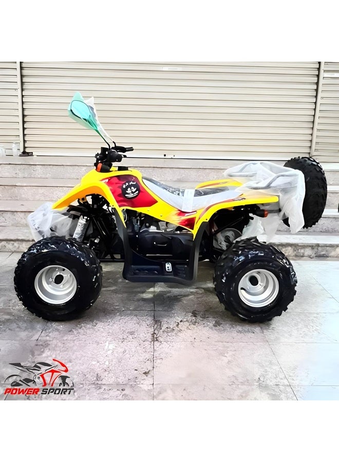 Power Sport Taiwan PowerSport ATV 4 Wheels 100CC - Image 4