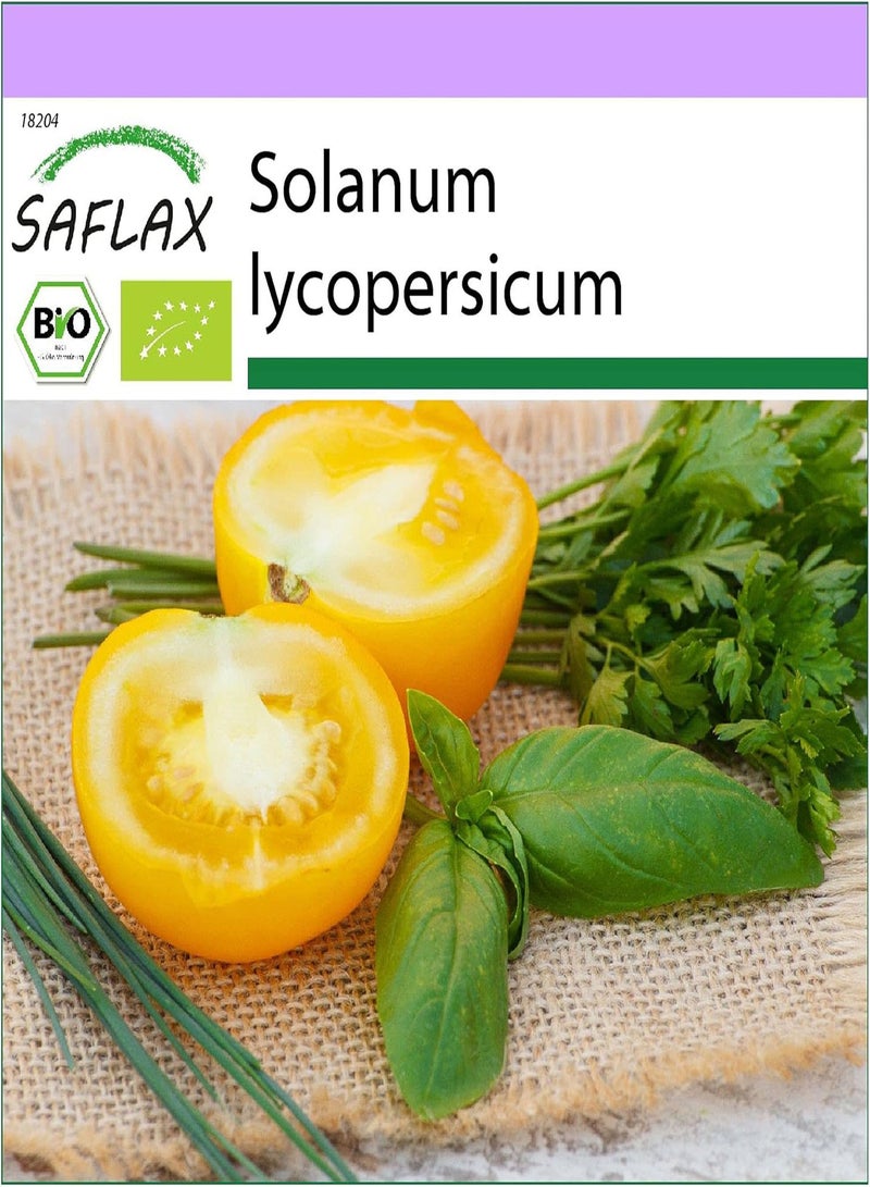 GGOOT Organic - Tomato - Golden Queen - 15 Seeds - Solanum lycopersicum - Image 1