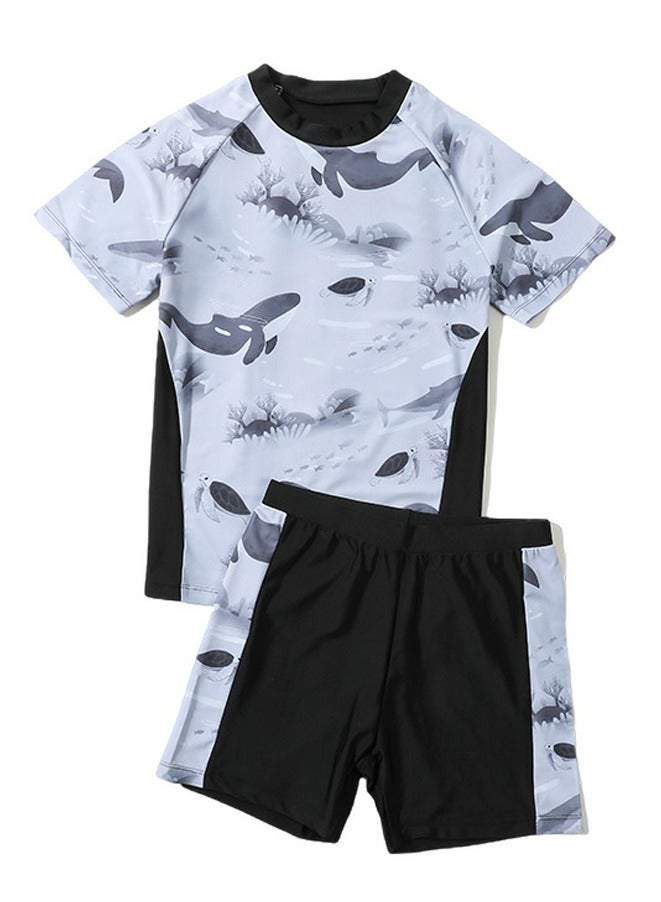Loquat Boys Quick Dry Split Swimsuits Set Short Sleeve Swim Shirts ,Swim Trunks 2 Piece Swim Set - Image 1