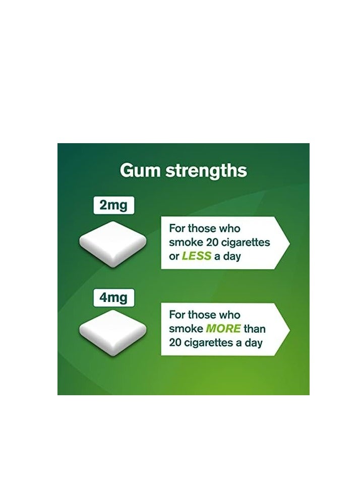 نيكوريت علكة النيكوتين أبيض ثلجي 2 ملجم 105 قطعة - Image 2