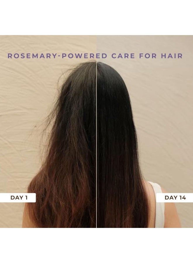 طبيعي شامبو ناتشورالي المضاد لتساقط الشعر مع إكليل الجبل والجينسنغ الكوري والبيوتين | يُقلل التكسر بثلاث مرات من الاستخدام الأول | يُعزز نمو الشعر | شامبو يومي خالٍ من الكبريتات والبارابين للنساء والرجال | 100 مل - Image 5