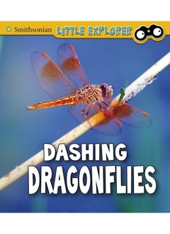 Dashing Dragonflies 