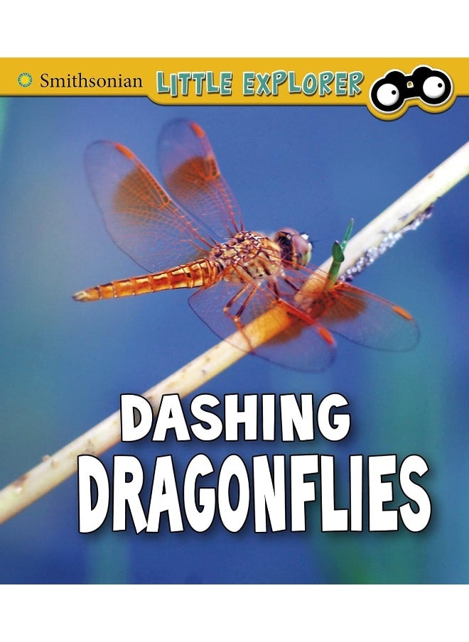 null - Dashing Dragonflies - Image 1