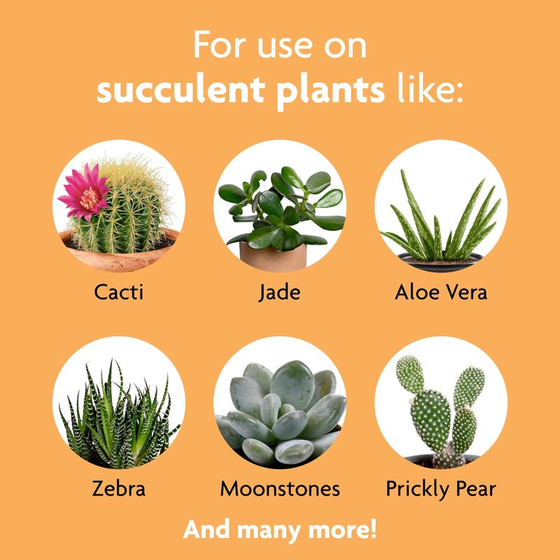 Miracle-Gro Succulent Plant Food, 8 oz., For Succulents including Cacti, Jade, And Aloe - Image 3