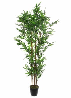 Artificial Bamboo Plant-Green - pzsku/ZBF4530272C8294E2913AZ/45/_/1718959334/32ae93df-62a4-450f-a1c7-e60d94ab86a6