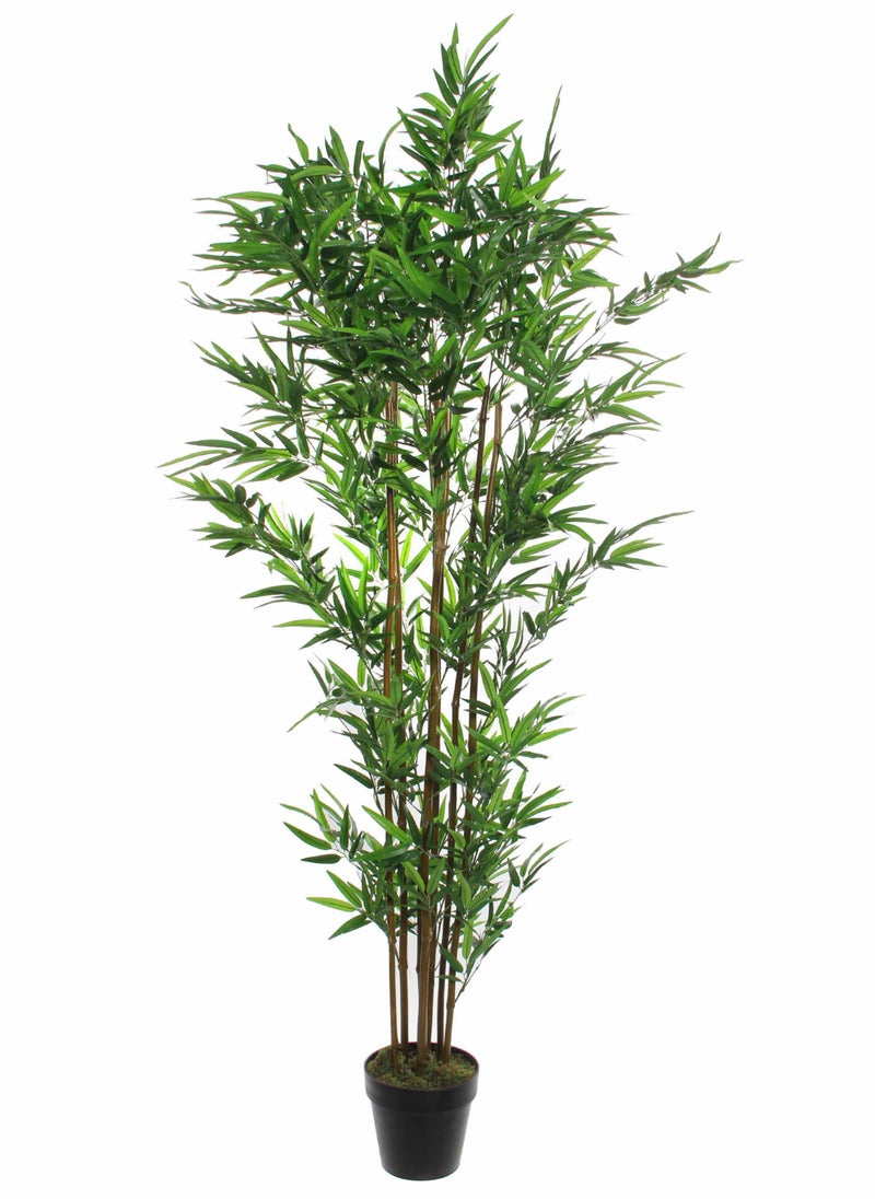 Suncoast - Artificial Bamboo Plant-Green - Image 1