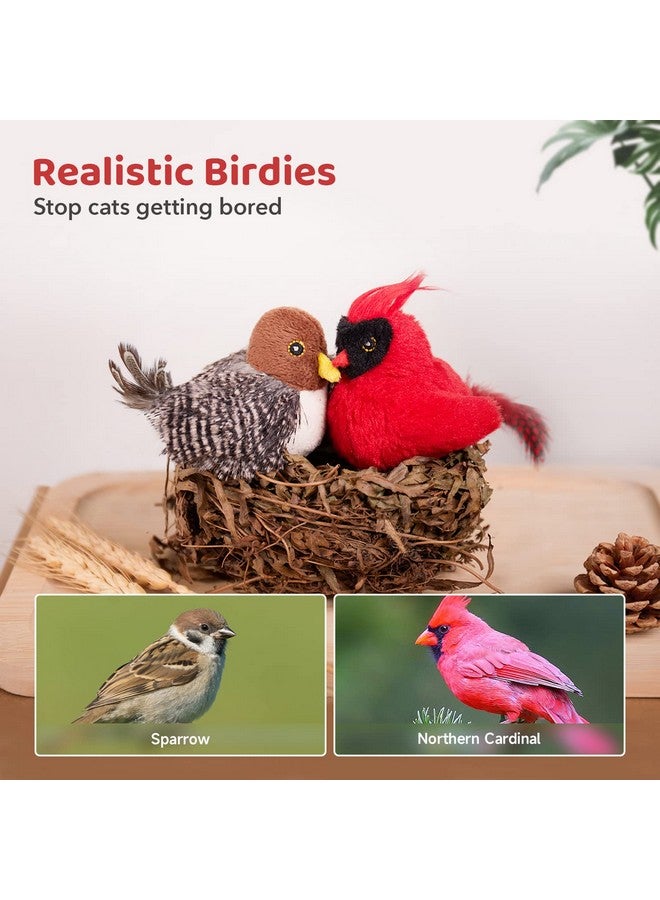 بوتاروما ألعاب قطط بوتاروما، قطعتان من الطيور المغردة مع عشبة النعناع البري، ركلات تفاعلية للقطط، تغريدات طيور واقعية، ألعاب تمارين للقطط الصغيرة داخل المنزل، مقاس 4 بوصات - Image 3