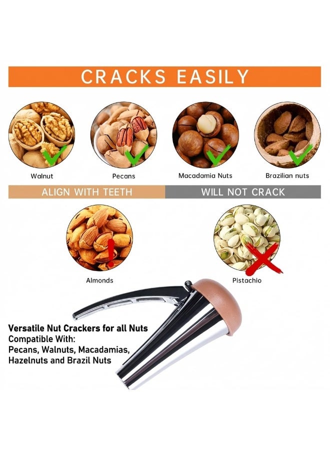 Nut Cracker,Heavy Duty Nut Cracker Tool with Splash-Proof Brown Lid,Long Leverage & Spring Return Nutcracker for Effortless Cracking - Image 2