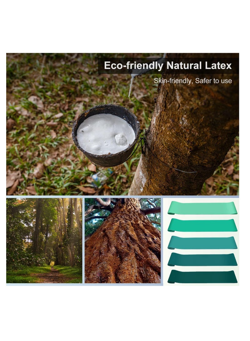 Resistance Exercise Bands Set of 5 - Image 5