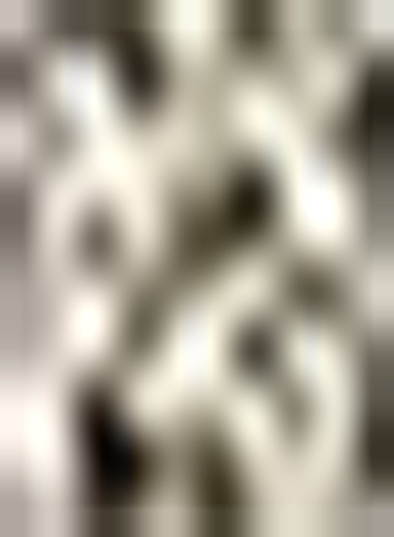 GGOOT 6 weiße Zephyranthes Zwiebeln seltene Arten haben einen einzigartigen Zierwert leuchtende Farben drinnen platziert Regenlilie Lassen das Zuhause voller Leben Sein Einfach zu pflanzen - Image 1