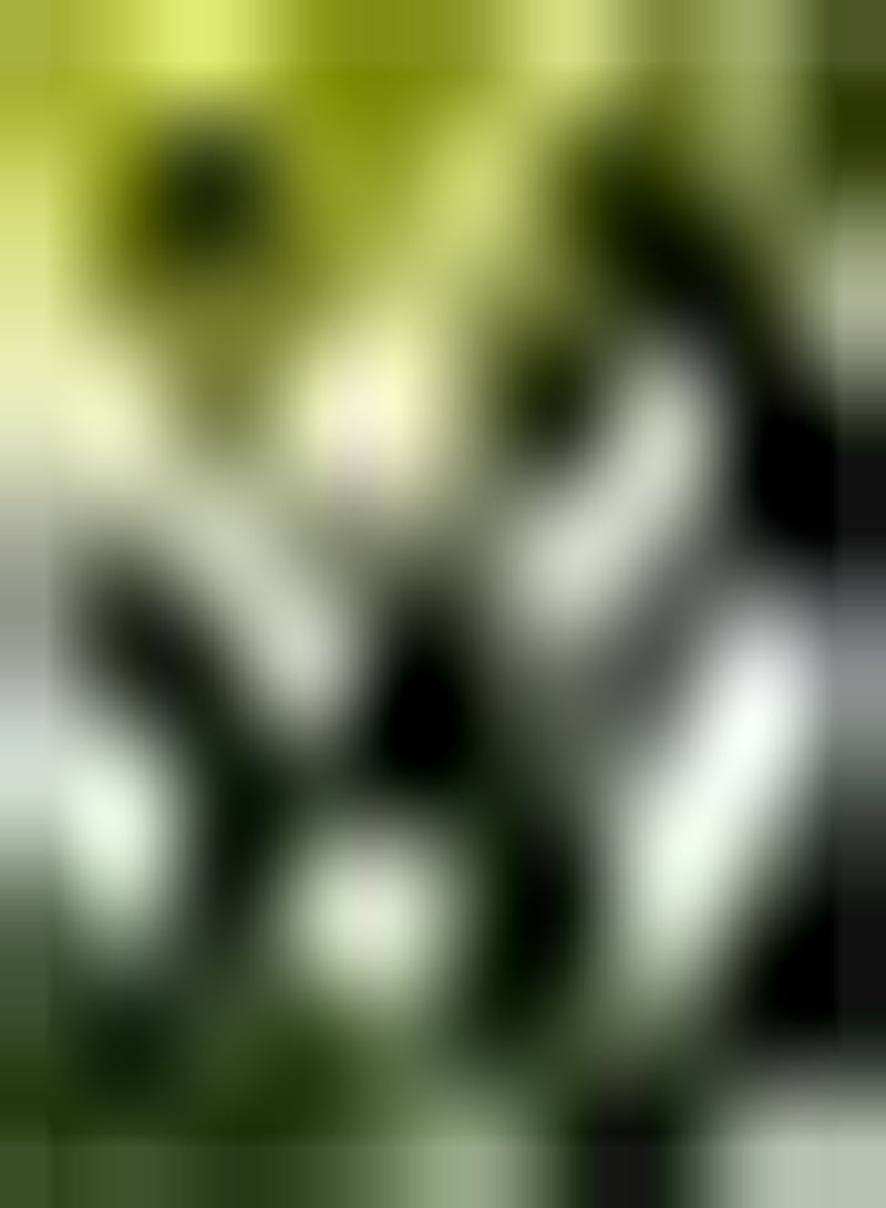 GGOOT 6 weiße Zephyranthes Zwiebeln seltene Arten haben einen einzigartigen Zierwert leuchtende Farben drinnen platziert Regenlilie Lassen das Zuhause voller Leben Sein Einfach zu pflanzen - Image 2