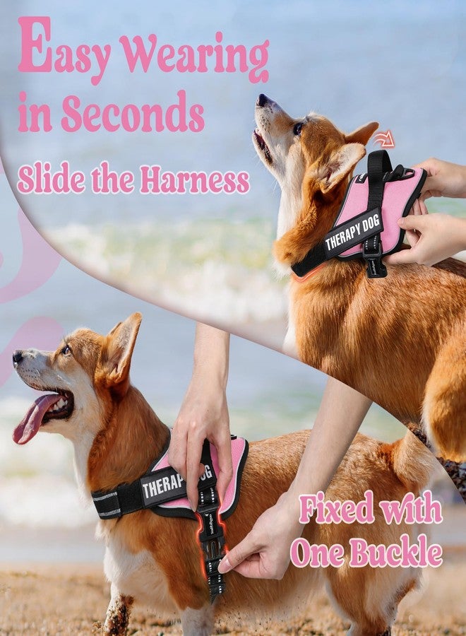 رابيتجو سرج أرنب جو للكلاب الكبيرة، سترة للحيوانات الأليفة مانعة للشد والاختناق، سهلة الارتداء بإبزيم واحد، عاكسة للضوء، سرج قابل للتعديل مع نظام مولي للمشي والتدريب، وردي، مقاس كبير - Image 3