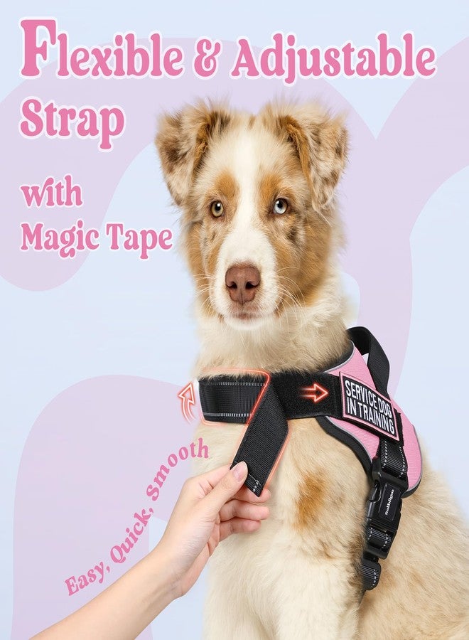 رابيتجو سرج أرنب جو للكلاب الكبيرة، سترة للحيوانات الأليفة مانعة للشد والاختناق، سهلة الارتداء بإبزيم واحد، عاكسة للضوء، سرج قابل للتعديل مع نظام مولي للمشي والتدريب، وردي، مقاس كبير - Image 5