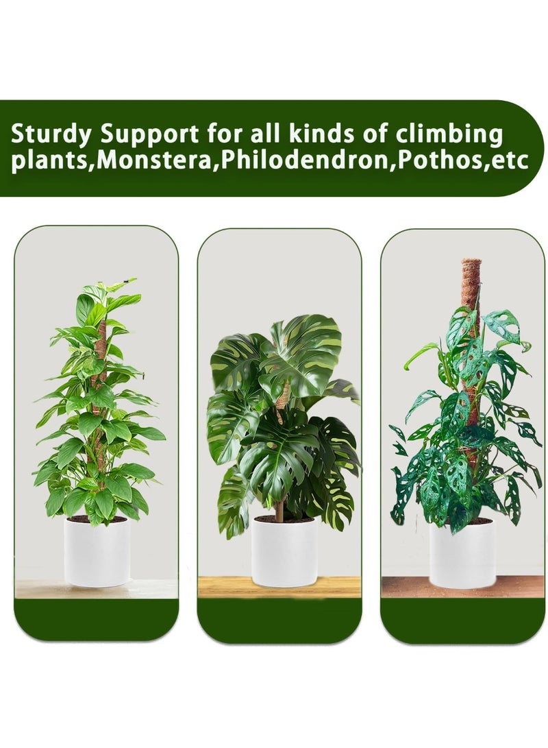 Toriseek Moss Pole, 40cm/16inch Monstera Plant Support for Climbing Plants Accessories Indoor, Stackable Moss Poles Plant Support Stakes, Coir Plant Pole Sticks for Potted Plants - Image 4
