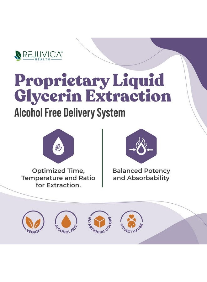 Rejuvica Health Rejuvica Health Active Elderberry - Advanced Elderberry Extract - Liquid Delivery for Better Absorption - Vegan Sugar Free Non GMO 4oz Value Size  - Image 3