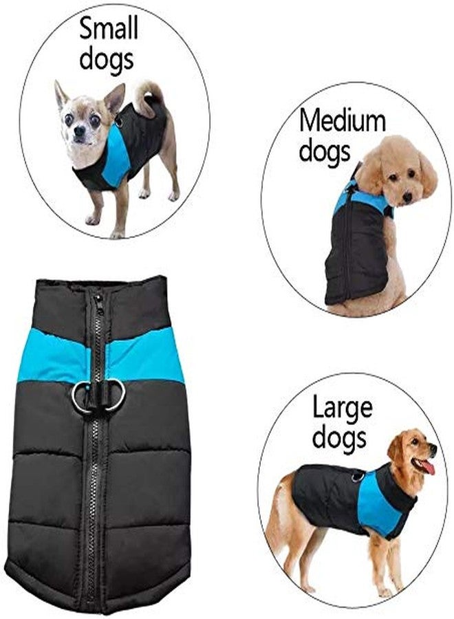 PETANGEL Waterproof & Warm Padded Zipper Jackets for Dogs- AJ056 (Chest Size - 52-55 cm) Please Check Size Chart Before Order. - Image 4