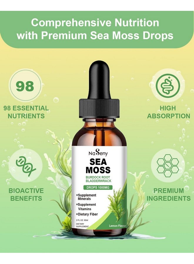 NaSeny Sea Moss Liquid Drops - High Absorption Irish 1000 mg Sea Moss Tincture Supplement Rich in Vitamin & Mineral for Immune Digestion & Energy-Lemon Flavor - Image 2