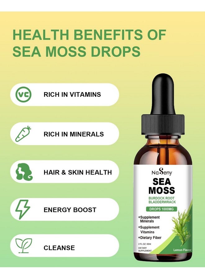 NaSeny Sea Moss Liquid Drops - High Absorption Irish 1000 mg Sea Moss Tincture Supplement Rich in Vitamin & Mineral for Immune Digestion & Energy-Lemon Flavor - Image 3