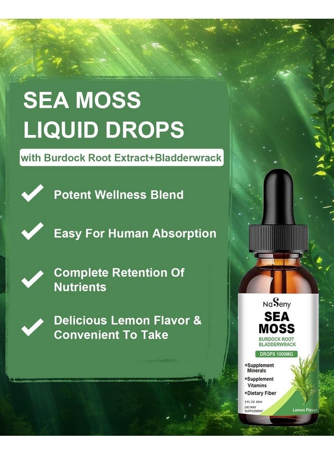 NaSeny Sea Moss Liquid Drops - High Absorption Irish 1000 mg Sea Moss Tincture Supplement Rich in Vitamin & Mineral for Immune Digestion & Energy-Lemon Flavor - Image 5