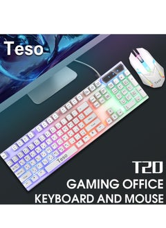 White gaming keyboard and mouse TESO-T20