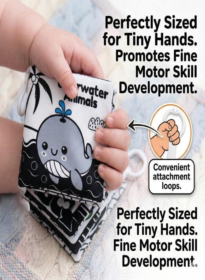 Tarkan High Contrast Crinkle Books for Infants and Baby, Black and White Sensory Development Toys, 3 Pack, 0 Months and Above - Image 5