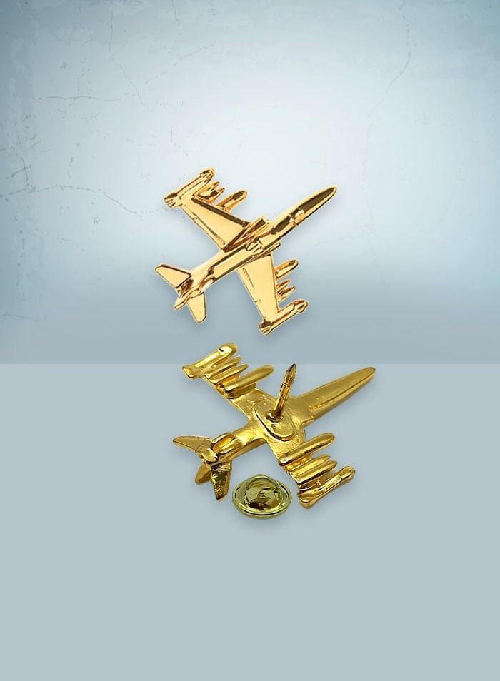 فايتر جيفتس هوك 100 دبوس ذهبي