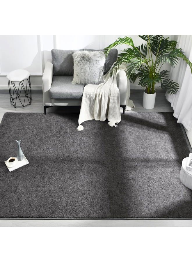 FlyDOIT Rugs for Bedroom Living Room 6x9 inch Dark Grey Super Soft Comfortable Thickened Memory Foam Indoor Modern Aesthetic Minimalist Rug for Boys - Image 2
