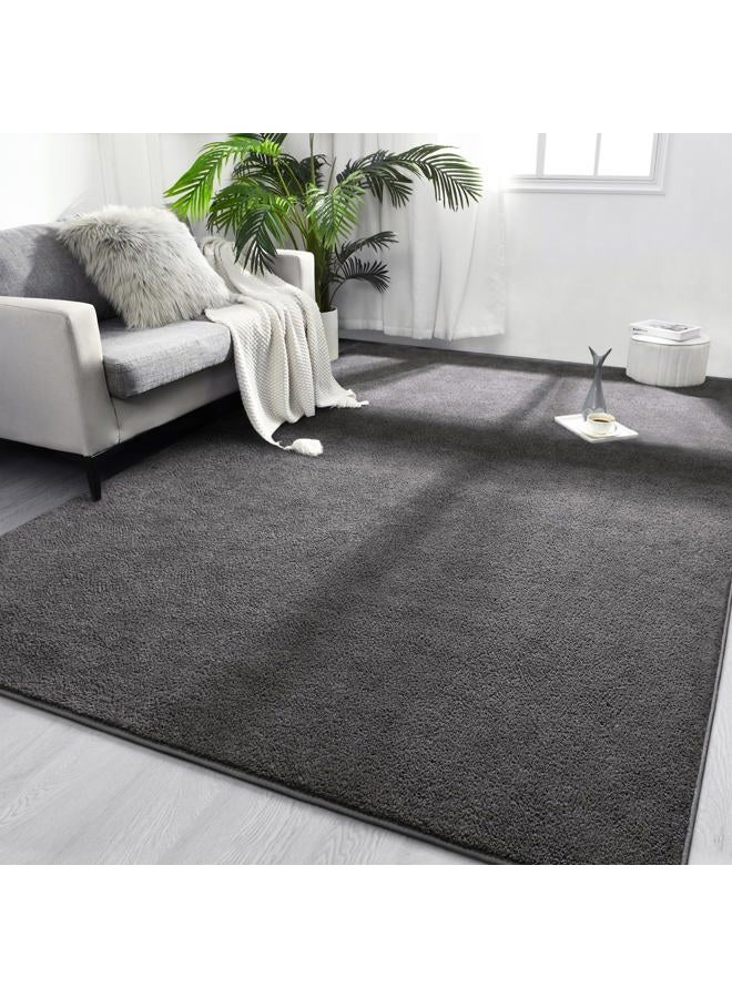 FlyDOIT Rugs for Bedroom Living Room 6x9 inch Dark Grey Super Soft Comfortable Thickened Memory Foam Indoor Modern Aesthetic Minimalist Rug for Boys - Image 1