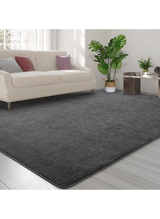 FlyDOIT Rugs for Bedroom Living Room 6x9 inch Dark Grey Super Soft Comfortable Thickened Memory Foam Indoor Modern Aesthetic Minimalist Rug for Boys - Image 3