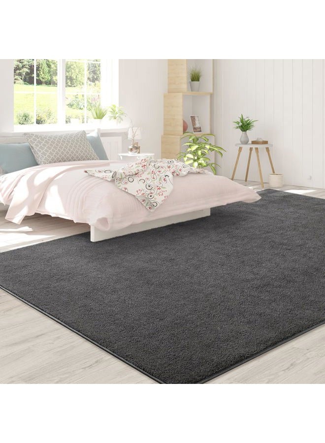 FlyDOIT Rugs for Bedroom Living Room 6x9 inch Dark Grey Super Soft Comfortable Thickened Memory Foam Indoor Modern Aesthetic Minimalist Rug for Boys - Image 4